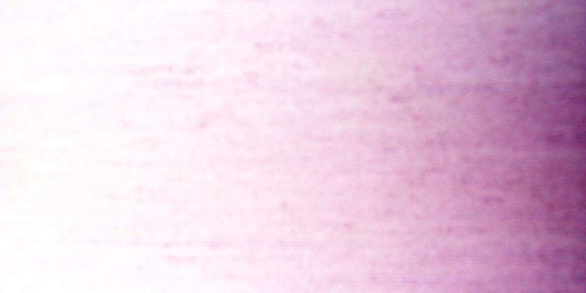 Star Entertainment Clings to Life After Unloading Brisbane Casino