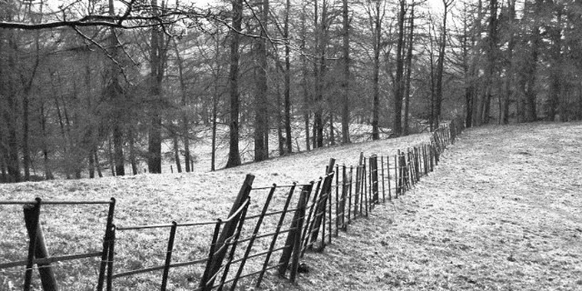 Legal Online Casino in Australia 2025