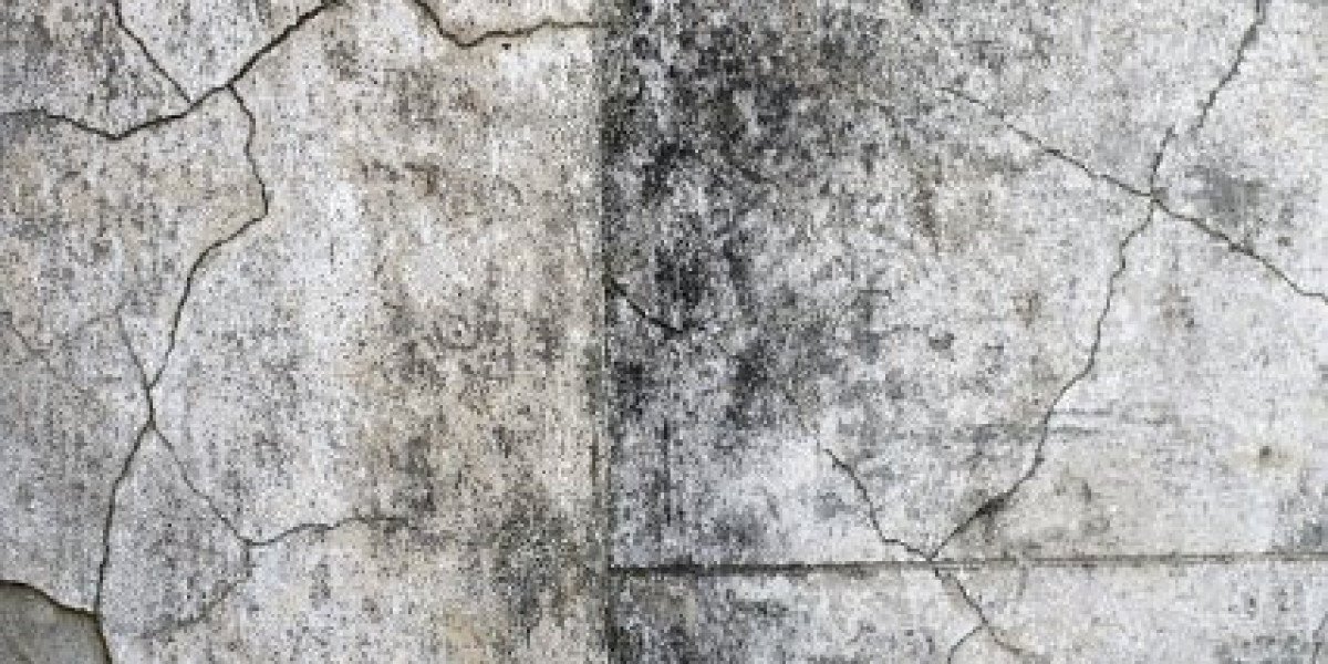 Official Site for Top Slots & Bonus