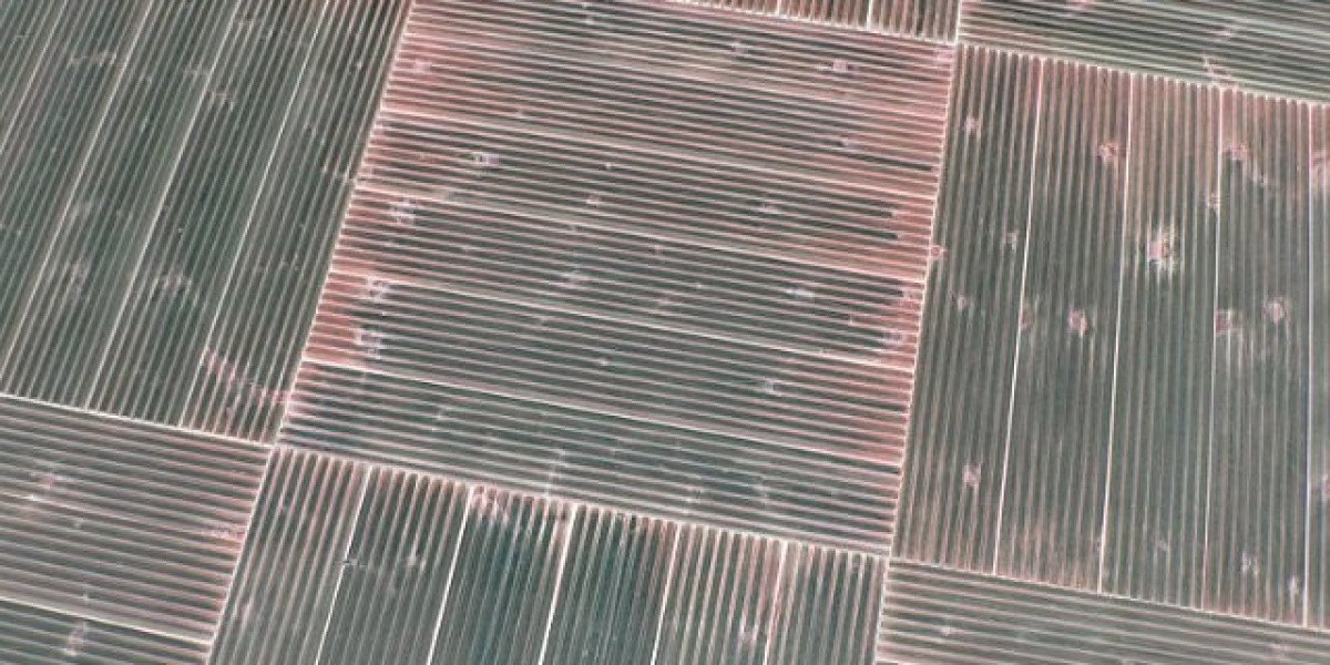 WinSpirit Casino is Rated 4 3 out of 5 in 2025 4 Bonuses