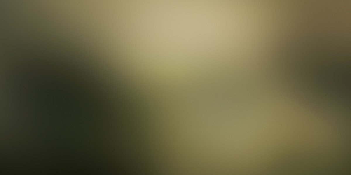 Gold IRA Investment Companies: A Comprehensive Overview