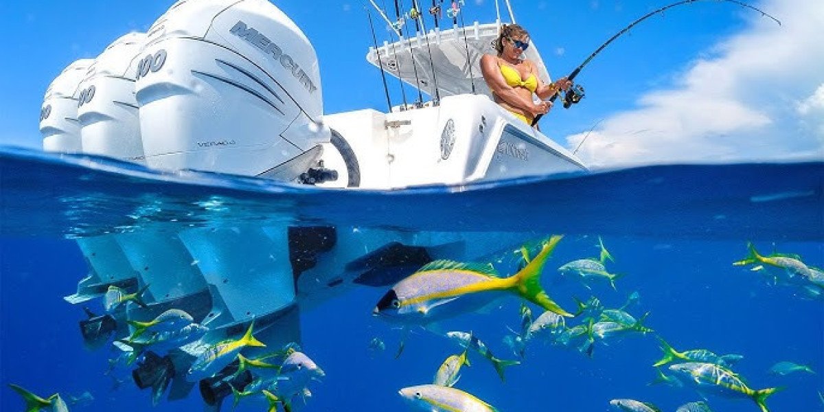 Florida Fishing Charters: Explore the Best Spots with Expert Guides