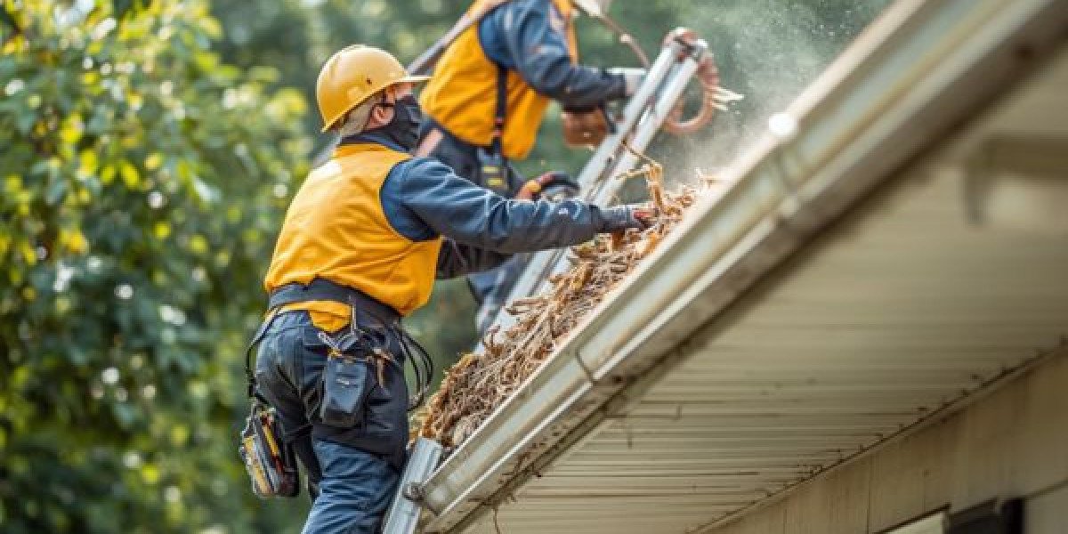 Reliable Gutter Cleaning Companies Cedar Rapids for Year-Round Home Care