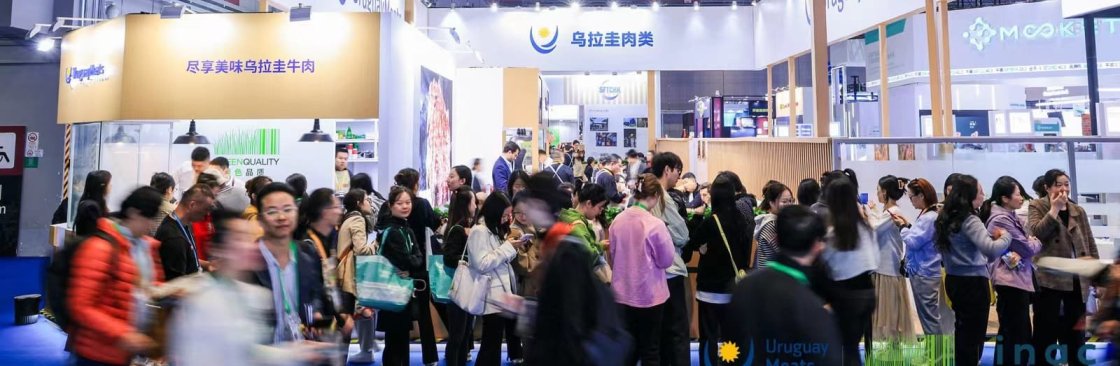 Panda China Cover Image