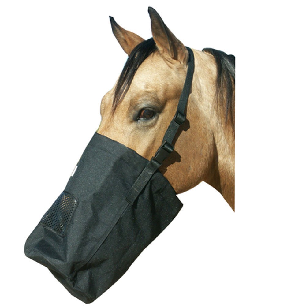 Buy Best Horse Feed Bag - HorsePlay NZ