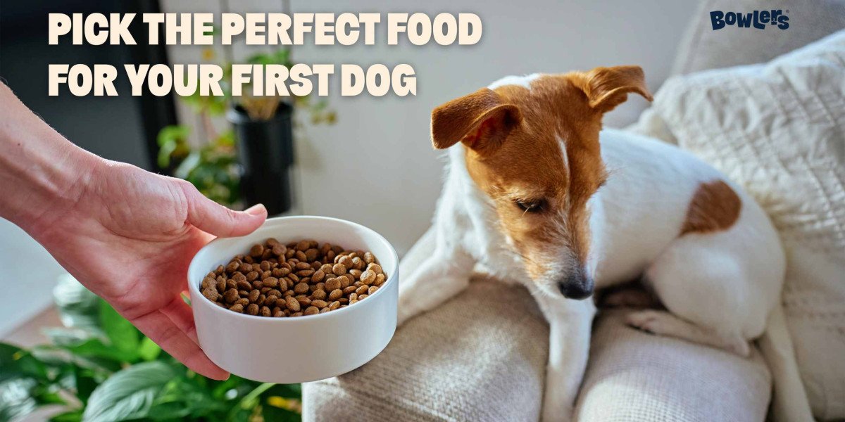 How to Choose the Right Dog Food for Your First Pet