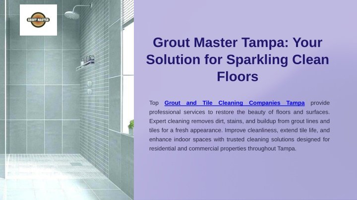 PPT - Grout Master Tampa: Your Solution for Sparkling Clean Floors PowerPoint Presentation - ID:14821695