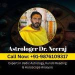Astrologer Dr Neeraj Profile Picture