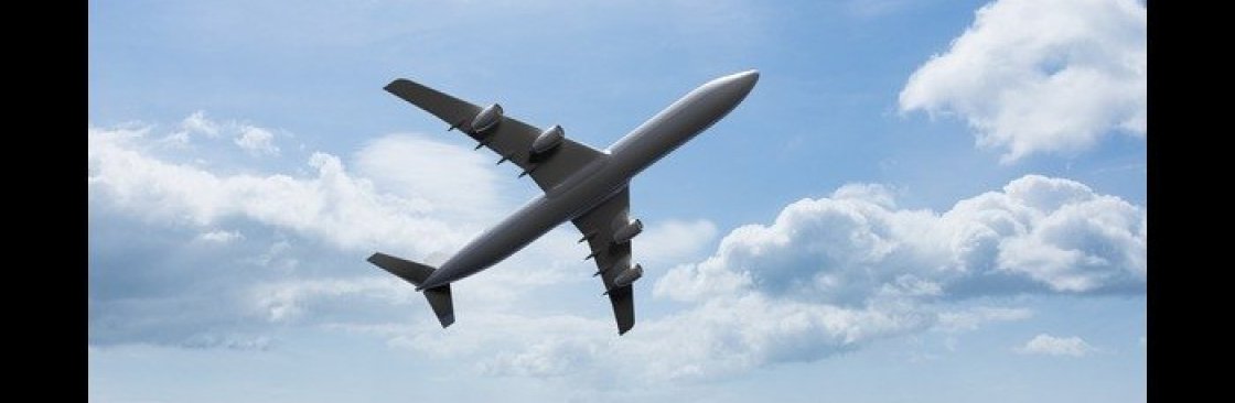 Rushmy Flight Cover Image