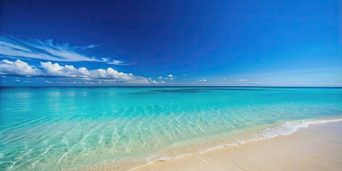 Your Guide to Maharashtra’s Top 10 Beaches: Ultimate Escapes & Kolthare Luxury