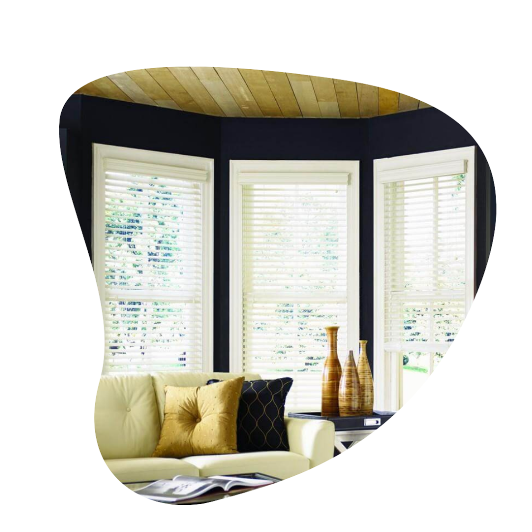 Professional Blinds Cleaning Service | Fresh & Dust-Free Blinds